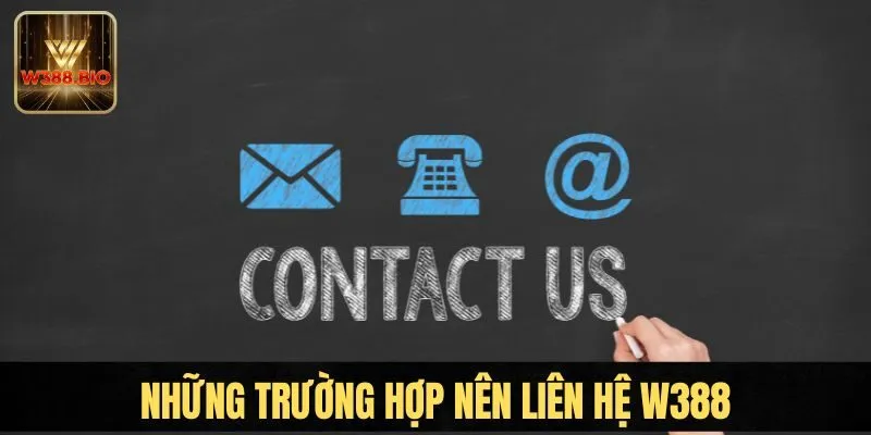 Liên hệ W388 mọi lúc khi bạn cần