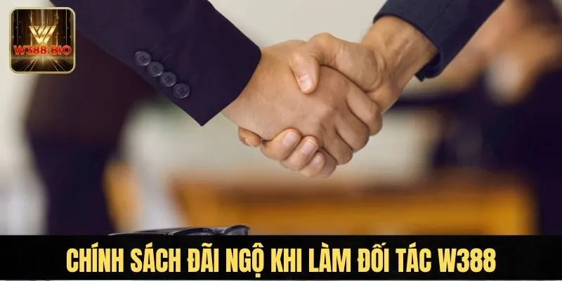 Tìm hiểu cơ hội làm đại lý W388
